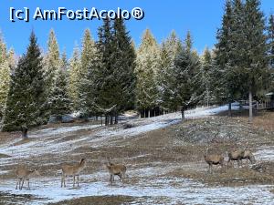 [P04]  -- <small>// FĂRĂ DESCRIERE</small> » foto by alex silva
 - 
<span class="allrVoted glyphicon glyphicon-heart hidden" id="av1267998"></span>
<a class="m-l-10 hidden" id="sv1267998" onclick="voting_Foto_DelVot(,1267998,27210)" role="button">șterge vot <span class="glyphicon glyphicon-remove"></span></a>
<a id="v91267998" class=" c-red"  onclick="voting_Foto_SetVot(1267998)" role="button"><span class="glyphicon glyphicon-heart-empty"></span> <b>LIKE</b> = Votează poza</a> <img class="hidden"  id="f1267998W9" src="/imagini/loader.gif" border="0" /><span class="AjErrMes hidden" id="e1267998ErM"></span>