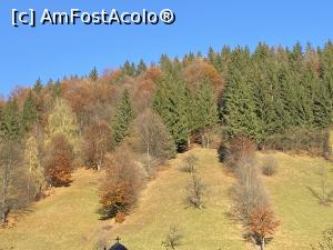 [P02] Pensiunea Valea Lungă – Cheia - Toamna la Moieciu » foto by nicole33
 - 
<span class="allrVoted glyphicon glyphicon-heart hidden" id="av1268098"></span>
<a class="m-l-10 hidden" id="sv1268098" onclick="voting_Foto_DelVot(,1268098,27211)" role="button">șterge vot <span class="glyphicon glyphicon-remove"></span></a>
<a id="v91268098" class=" c-red"  onclick="voting_Foto_SetVot(1268098)" role="button"><span class="glyphicon glyphicon-heart-empty"></span> <b>LIKE</b> = Votează poza</a> <img class="hidden"  id="f1268098W9" src="/imagini/loader.gif" border="0" /><span class="AjErrMes hidden" id="e1268098ErM"></span>
