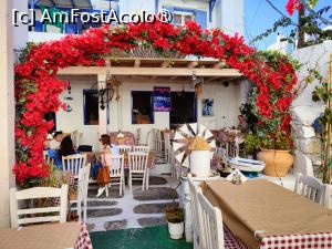 [P06] Taverna Lakka Garden » foto by crismis
 - 
<span class="allrVoted glyphicon glyphicon-heart hidden" id="av1426391"></span>
<a class="m-l-10 hidden" id="sv1426391" onclick="voting_Foto_DelVot(,1426391,27222)" role="button">șterge vot <span class="glyphicon glyphicon-remove"></span></a>
<a id="v91426391" class=" c-red"  onclick="voting_Foto_SetVot(1426391)" role="button"><span class="glyphicon glyphicon-heart-empty"></span> <b>LIKE</b> = Votează poza</a> <img class="hidden"  id="f1426391W9" src="/imagini/loader.gif" border="0" /><span class="AjErrMes hidden" id="e1426391ErM"></span>