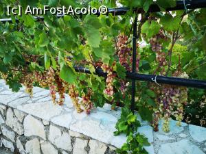 [P26] Euktimeno Apts; prin vecini... » foto by crismis
 - 
<span class="allrVoted glyphicon glyphicon-heart hidden" id="av1271269"></span>
<a class="m-l-10 hidden" id="sv1271269" onclick="voting_Foto_DelVot(,1271269,27235)" role="button">șterge vot <span class="glyphicon glyphicon-remove"></span></a>
<a id="v91271269" class=" c-red"  onclick="voting_Foto_SetVot(1271269)" role="button"><span class="glyphicon glyphicon-heart-empty"></span> <b>LIKE</b> = Votează poza</a> <img class="hidden"  id="f1271269W9" src="/imagini/loader.gif" border="0" /><span class="AjErrMes hidden" id="e1271269ErM"></span>