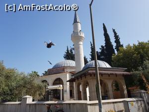 [P13] Plaja Iztuzu şi Delta Dalyan - moscheea » foto by nicole33
 - 
<span class="allrVoted glyphicon glyphicon-heart hidden" id="av1271295"></span>
<a class="m-l-10 hidden" id="sv1271295" onclick="voting_Foto_DelVot(,1271295,27236)" role="button">șterge vot <span class="glyphicon glyphicon-remove"></span></a>
<a id="v91271295" class=" c-red"  onclick="voting_Foto_SetVot(1271295)" role="button"><span class="glyphicon glyphicon-heart-empty"></span> <b>LIKE</b> = Votează poza</a> <img class="hidden"  id="f1271295W9" src="/imagini/loader.gif" border="0" /><span class="AjErrMes hidden" id="e1271295ErM"></span>