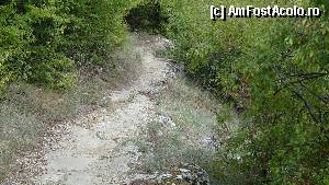 [P20] Părăsim marginea abruptă a canionului și intrăm în pădure...  » foto by bog68
 - 
<span class="allrVoted glyphicon glyphicon-heart hidden" id="av373162"></span>
<a class="m-l-10 hidden" id="sv373162" onclick="voting_Foto_DelVot(,373162,27237)" role="button">șterge vot <span class="glyphicon glyphicon-remove"></span></a>
<a id="v9373162" class=" c-red"  onclick="voting_Foto_SetVot(373162)" role="button"><span class="glyphicon glyphicon-heart-empty"></span> <b>LIKE</b> = Votează poza</a> <img class="hidden"  id="f373162W9" src="/imagini/loader.gif" border="0" /><span class="AjErrMes hidden" id="e373162ErM"></span>
