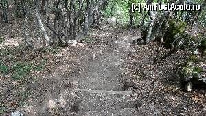 [P37] Coborâm din nou pădure și ne lăsăm într-un ciot adidasul...  » foto by bog68
 - 
<span class="allrVoted glyphicon glyphicon-heart hidden" id="av373183"></span>
<a class="m-l-10 hidden" id="sv373183" onclick="voting_Foto_DelVot(,373183,27237)" role="button">șterge vot <span class="glyphicon glyphicon-remove"></span></a>
<a id="v9373183" class=" c-red"  onclick="voting_Foto_SetVot(373183)" role="button"><span class="glyphicon glyphicon-heart-empty"></span> <b>LIKE</b> = Votează poza</a> <img class="hidden"  id="f373183W9" src="/imagini/loader.gif" border="0" /><span class="AjErrMes hidden" id="e373183ErM"></span>