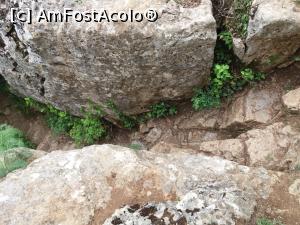 [P09] Si traseu de un lat de picior printre stanci » foto by vulpe mihaela
 - 
<span class="allrVoted glyphicon glyphicon-heart hidden" id="av1070515"></span>
<a class="m-l-10 hidden" id="sv1070515" onclick="voting_Foto_DelVot(,1070515,27237)" role="button">șterge vot <span class="glyphicon glyphicon-remove"></span></a>
<a id="v91070515" class=" c-red"  onclick="voting_Foto_SetVot(1070515)" role="button"><span class="glyphicon glyphicon-heart-empty"></span> <b>LIKE</b> = Votează poza</a> <img class="hidden"  id="f1070515W9" src="/imagini/loader.gif" border="0" /><span class="AjErrMes hidden" id="e1070515ErM"></span>