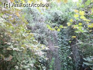 [P13] Cascada Gizlikent - căderi de apă » foto by nicole33
 - 
<span class="allrVoted glyphicon glyphicon-heart hidden" id="av1271395"></span>
<a class="m-l-10 hidden" id="sv1271395" onclick="voting_Foto_DelVot(,1271395,27238)" role="button">șterge vot <span class="glyphicon glyphicon-remove"></span></a>
<a id="v91271395" class=" c-red"  onclick="voting_Foto_SetVot(1271395)" role="button"><span class="glyphicon glyphicon-heart-empty"></span> <b>LIKE</b> = Votează poza</a> <img class="hidden"  id="f1271395W9" src="/imagini/loader.gif" border="0" /><span class="AjErrMes hidden" id="e1271395ErM"></span>