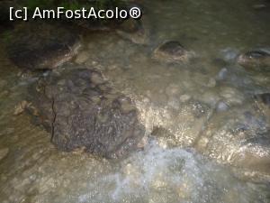 [P28] Cascada Gizlikent - prin apă » foto by nicole33
 - 
<span class="allrVoted glyphicon glyphicon-heart hidden" id="av1271410"></span>
<a class="m-l-10 hidden" id="sv1271410" onclick="voting_Foto_DelVot(,1271410,27238)" role="button">șterge vot <span class="glyphicon glyphicon-remove"></span></a>
<a id="v91271410" class=" c-red"  onclick="voting_Foto_SetVot(1271410)" role="button"><span class="glyphicon glyphicon-heart-empty"></span> <b>LIKE</b> = Votează poza</a> <img class="hidden"  id="f1271410W9" src="/imagini/loader.gif" border="0" /><span class="AjErrMes hidden" id="e1271410ErM"></span>