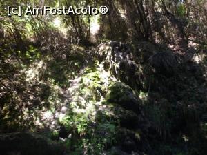 [P29] Cascada Gizlikent - prin pădure » foto by nicole33
 - 
<span class="allrVoted glyphicon glyphicon-heart hidden" id="av1271411"></span>
<a class="m-l-10 hidden" id="sv1271411" onclick="voting_Foto_DelVot(,1271411,27238)" role="button">șterge vot <span class="glyphicon glyphicon-remove"></span></a>
<a id="v91271411" class=" c-red"  onclick="voting_Foto_SetVot(1271411)" role="button"><span class="glyphicon glyphicon-heart-empty"></span> <b>LIKE</b> = Votează poza</a> <img class="hidden"  id="f1271411W9" src="/imagini/loader.gif" border="0" /><span class="AjErrMes hidden" id="e1271411ErM"></span>