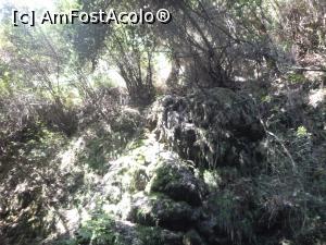 [P32] Cascada Gizlikent - spre cascadă » foto by nicole33
 - 
<span class="allrVoted glyphicon glyphicon-heart hidden" id="av1271414"></span>
<a class="m-l-10 hidden" id="sv1271414" onclick="voting_Foto_DelVot(,1271414,27238)" role="button">șterge vot <span class="glyphicon glyphicon-remove"></span></a>
<a id="v91271414" class=" c-red"  onclick="voting_Foto_SetVot(1271414)" role="button"><span class="glyphicon glyphicon-heart-empty"></span> <b>LIKE</b> = Votează poza</a> <img class="hidden"  id="f1271414W9" src="/imagini/loader.gif" border="0" /><span class="AjErrMes hidden" id="e1271414ErM"></span>
