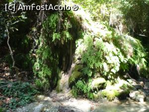 [P45] Cascada Gizlikent - prin apă » foto by nicole33
 - 
<span class="allrVoted glyphicon glyphicon-heart hidden" id="av1271427"></span>
<a class="m-l-10 hidden" id="sv1271427" onclick="voting_Foto_DelVot(,1271427,27238)" role="button">șterge vot <span class="glyphicon glyphicon-remove"></span></a>
<a id="v91271427" class=" c-red"  onclick="voting_Foto_SetVot(1271427)" role="button"><span class="glyphicon glyphicon-heart-empty"></span> <b>LIKE</b> = Votează poza</a> <img class="hidden"  id="f1271427W9" src="/imagini/loader.gif" border="0" /><span class="AjErrMes hidden" id="e1271427ErM"></span>