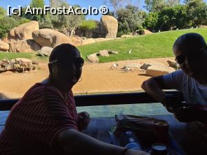 [P01] Restaurantul din centrul Biopark ului. » foto by gabivoicu
 - 
<span class="allrVoted glyphicon glyphicon-heart hidden" id="av1273146"></span>
<a class="m-l-10 hidden" id="sv1273146" onclick="voting_Foto_DelVot(,1273146,27252)" role="button">șterge vot <span class="glyphicon glyphicon-remove"></span></a>
<a id="v91273146" class=" c-red"  onclick="voting_Foto_SetVot(1273146)" role="button"><span class="glyphicon glyphicon-heart-empty"></span> <b>LIKE</b> = Votează poza</a> <img class="hidden"  id="f1273146W9" src="/imagini/loader.gif" border="0" /><span class="AjErrMes hidden" id="e1273146ErM"></span>