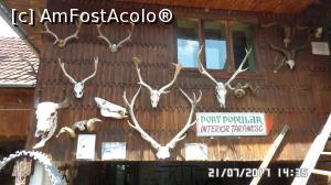 [P05] Trofee de cerb și nu numai » foto by ungureanica
 - 
<span class="allrVoted glyphicon glyphicon-heart hidden" id="av909090"></span>
<a class="m-l-10 hidden" id="sv909090" onclick="voting_Foto_DelVot(,909090,27253)" role="button">șterge vot <span class="glyphicon glyphicon-remove"></span></a>
<a id="v9909090" class=" c-red"  onclick="voting_Foto_SetVot(909090)" role="button"><span class="glyphicon glyphicon-heart-empty"></span> <b>LIKE</b> = Votează poza</a> <img class="hidden"  id="f909090W9" src="/imagini/loader.gif" border="0" /><span class="AjErrMes hidden" id="e909090ErM"></span>