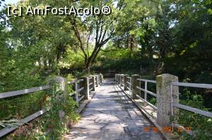 [P22] Podet in parc » foto by fregata
 - 
<span class="allrVoted glyphicon glyphicon-heart hidden" id="av1251910"></span>
<a class="m-l-10 hidden" id="sv1251910" onclick="voting_Foto_DelVot(,1251910,27256)" role="button">șterge vot <span class="glyphicon glyphicon-remove"></span></a>
<a id="v91251910" class=" c-red"  onclick="voting_Foto_SetVot(1251910)" role="button"><span class="glyphicon glyphicon-heart-empty"></span> <b>LIKE</b> = Votează poza</a> <img class="hidden"  id="f1251910W9" src="/imagini/loader.gif" border="0" /><span class="AjErrMes hidden" id="e1251910ErM"></span>