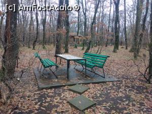[P25] Mănăstirea Sfânta Treime, Drăgănești Vlașca » foto by Mioritik
 - 
<span class="allrVoted glyphicon glyphicon-heart hidden" id="av1292665"></span>
<a class="m-l-10 hidden" id="sv1292665" onclick="voting_Foto_DelVot(,1292665,27275)" role="button">șterge vot <span class="glyphicon glyphicon-remove"></span></a>
<a id="v91292665" class=" c-red"  onclick="voting_Foto_SetVot(1292665)" role="button"><span class="glyphicon glyphicon-heart-empty"></span> <b>LIKE</b> = Votează poza</a> <img class="hidden"  id="f1292665W9" src="/imagini/loader.gif" border="0" /><span class="AjErrMes hidden" id="e1292665ErM"></span>