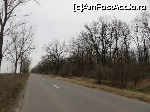 [P11] Pădurea Grozea - Drăgănești-Vlașca.  » foto by tata123 🔱
 - 
<span class="allrVoted glyphicon glyphicon-heart hidden" id="av700703"></span>
<a class="m-l-10 hidden" id="sv700703" onclick="voting_Foto_DelVot(,700703,27275)" role="button">șterge vot <span class="glyphicon glyphicon-remove"></span></a>
<a id="v9700703" class=" c-red"  onclick="voting_Foto_SetVot(700703)" role="button"><span class="glyphicon glyphicon-heart-empty"></span> <b>LIKE</b> = Votează poza</a> <img class="hidden"  id="f700703W9" src="/imagini/loader.gif" border="0" /><span class="AjErrMes hidden" id="e700703ErM"></span>