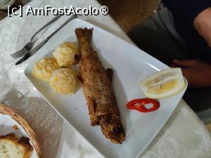 [P26] Restaurant Veverița - papa bun » foto by crismis
 - 
<span class="allrVoted glyphicon glyphicon-heart hidden" id="av1391775"></span>
<a class="m-l-10 hidden" id="sv1391775" onclick="voting_Foto_DelVot(,1391775,27280)" role="button">șterge vot <span class="glyphicon glyphicon-remove"></span></a>
<a id="v91391775" class=" c-red"  onclick="voting_Foto_SetVot(1391775)" role="button"><span class="glyphicon glyphicon-heart-empty"></span> <b>LIKE</b> = Votează poza</a> <img class="hidden"  id="f1391775W9" src="/imagini/loader.gif" border="0" /><span class="AjErrMes hidden" id="e1391775ErM"></span>