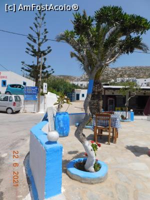 [P12] Arkassa, taverna Kriti » foto by irinad
 - 
<span class="allrVoted glyphicon glyphicon-heart hidden" id="av1276423"></span>
<a class="m-l-10 hidden" id="sv1276423" onclick="voting_Foto_DelVot(,1276423,27289)" role="button">șterge vot <span class="glyphicon glyphicon-remove"></span></a>
<a id="v91276423" class=" c-red"  onclick="voting_Foto_SetVot(1276423)" role="button"><span class="glyphicon glyphicon-heart-empty"></span> <b>LIKE</b> = Votează poza</a> <img class="hidden"  id="f1276423W9" src="/imagini/loader.gif" border="0" /><span class="AjErrMes hidden" id="e1276423ErM"></span>