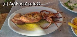 [P22] Taverna Under The Trees:kalamar umplut » foto by irinad
 - 
<span class="allrVoted glyphicon glyphicon-heart hidden" id="av1276433"></span>
<a class="m-l-10 hidden" id="sv1276433" onclick="voting_Foto_DelVot(,1276433,27289)" role="button">șterge vot <span class="glyphicon glyphicon-remove"></span></a>
<a id="v91276433" class=" c-red"  onclick="voting_Foto_SetVot(1276433)" role="button"><span class="glyphicon glyphicon-heart-empty"></span> <b>LIKE</b> = Votează poza</a> <img class="hidden"  id="f1276433W9" src="/imagini/loader.gif" border="0" /><span class="AjErrMes hidden" id="e1276433ErM"></span>