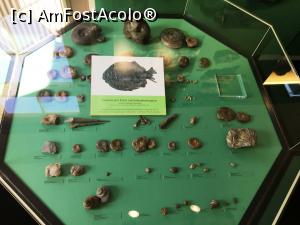 [P18] Muzeul preistoric Aalen » foto by AZE
 - 
<span class="allrVoted glyphicon glyphicon-heart hidden" id="av1260371"></span>
<a class="m-l-10 hidden" id="sv1260371" onclick="voting_Foto_DelVot(,1260371,27301)" role="button">șterge vot <span class="glyphicon glyphicon-remove"></span></a>
<a id="v91260371" class=" c-red"  onclick="voting_Foto_SetVot(1260371)" role="button"><span class="glyphicon glyphicon-heart-empty"></span> <b>LIKE</b> = Votează poza</a> <img class="hidden"  id="f1260371W9" src="/imagini/loader.gif" border="0" /><span class="AjErrMes hidden" id="e1260371ErM"></span>