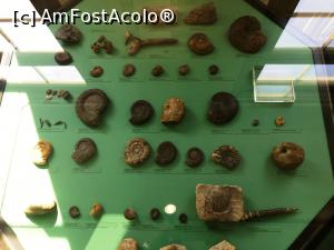 [P19] Exponate din muzeul preistoric Aalen » foto by AZE
 - 
<span class="allrVoted glyphicon glyphicon-heart hidden" id="av1260372"></span>
<a class="m-l-10 hidden" id="sv1260372" onclick="voting_Foto_DelVot(,1260372,27301)" role="button">șterge vot <span class="glyphicon glyphicon-remove"></span></a>
<a id="v91260372" class=" c-red"  onclick="voting_Foto_SetVot(1260372)" role="button"><span class="glyphicon glyphicon-heart-empty"></span> <b>LIKE</b> = Votează poza</a> <img class="hidden"  id="f1260372W9" src="/imagini/loader.gif" border="0" /><span class="AjErrMes hidden" id="e1260372ErM"></span>