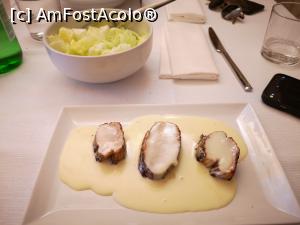 [P12] File de purcel cu sos de brânză; în plan îndepărtat, bolul cu salată » foto by crismis
 - 
<span class="allrVoted glyphicon glyphicon-heart hidden" id="av1280606"></span>
<a class="m-l-10 hidden" id="sv1280606" onclick="voting_Foto_DelVot(,1280606,27345)" role="button">șterge vot <span class="glyphicon glyphicon-remove"></span></a>
<a id="v91280606" class=" c-red"  onclick="voting_Foto_SetVot(1280606)" role="button"><span class="glyphicon glyphicon-heart-empty"></span> <b>LIKE</b> = Votează poza</a> <img class="hidden"  id="f1280606W9" src="/imagini/loader.gif" border="0" /><span class="AjErrMes hidden" id="e1280606ErM"></span>