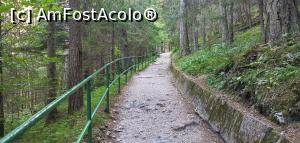 [P01] Din parcare, urcuș constant spre intrarea în Peștera de Gheață, Parcul Național Tatra Mică. » foto by Aurici
 - 
<span class="allrVoted glyphicon glyphicon-heart hidden" id="av1281601"></span>
<a class="m-l-10 hidden" id="sv1281601" onclick="voting_Foto_DelVot(,1281601,27355)" role="button">șterge vot <span class="glyphicon glyphicon-remove"></span></a>
<a id="v91281601" class=" c-red"  onclick="voting_Foto_SetVot(1281601)" role="button"><span class="glyphicon glyphicon-heart-empty"></span> <b>LIKE</b> = Votează poza</a> <img class="hidden"  id="f1281601W9" src="/imagini/loader.gif" border="0" /><span class="AjErrMes hidden" id="e1281601ErM"></span>