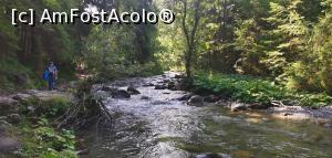[P13] Pe potecă de la Peștera de Gheață la Peștera Libertății. » foto by Aurici
 - 
<span class="allrVoted glyphicon glyphicon-heart hidden" id="av1281613"></span>
<a class="m-l-10 hidden" id="sv1281613" onclick="voting_Foto_DelVot(,1281613,27355)" role="button">șterge vot <span class="glyphicon glyphicon-remove"></span></a>
<a id="v91281613" class=" c-red"  onclick="voting_Foto_SetVot(1281613)" role="button"><span class="glyphicon glyphicon-heart-empty"></span> <b>LIKE</b> = Votează poza</a> <img class="hidden"  id="f1281613W9" src="/imagini/loader.gif" border="0" /><span class="AjErrMes hidden" id="e1281613ErM"></span>