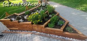[P51] MiniSlovacia, un model de jardinieră. » foto by Aurici
 - 
<span class="allrVoted glyphicon glyphicon-heart hidden" id="av1283204"></span>
<a class="m-l-10 hidden" id="sv1283204" onclick="voting_Foto_DelVot(,1283204,27355)" role="button">șterge vot <span class="glyphicon glyphicon-remove"></span></a>
<a id="v91283204" class=" c-red"  onclick="voting_Foto_SetVot(1283204)" role="button"><span class="glyphicon glyphicon-heart-empty"></span> <b>LIKE</b> = Votează poza</a> <img class="hidden"  id="f1283204W9" src="/imagini/loader.gif" border="0" /><span class="AjErrMes hidden" id="e1283204ErM"></span>