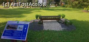 [P54] Podul Acoperit de lemn, un obiectiv la care ne-am oprit pe drum inspirați din MiniSlovacia. » foto by Aurici
 - 
<span class="allrVoted glyphicon glyphicon-heart hidden" id="av1283207"></span>
<a class="m-l-10 hidden" id="sv1283207" onclick="voting_Foto_DelVot(,1283207,27355)" role="button">șterge vot <span class="glyphicon glyphicon-remove"></span></a>
<a id="v91283207" class=" c-red"  onclick="voting_Foto_SetVot(1283207)" role="button"><span class="glyphicon glyphicon-heart-empty"></span> <b>LIKE</b> = Votează poza</a> <img class="hidden"  id="f1283207W9" src="/imagini/loader.gif" border="0" /><span class="AjErrMes hidden" id="e1283207ErM"></span>