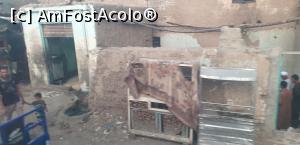 [P31] In vreme ce noi ne luptam cu pandemia, ei aveau probleme mult mai serioase. » foto by Lisa
 - 
<span class="allrVoted glyphicon glyphicon-heart hidden" id="av1281687"></span>
<a class="m-l-10 hidden" id="sv1281687" onclick="voting_Foto_DelVot(,1281687,27357)" role="button">șterge vot <span class="glyphicon glyphicon-remove"></span></a>
<a id="v91281687" class=" c-red"  onclick="voting_Foto_SetVot(1281687)" role="button"><span class="glyphicon glyphicon-heart-empty"></span> <b>LIKE</b> = Votează poza</a> <img class="hidden"  id="f1281687W9" src="/imagini/loader.gif" border="0" /><span class="AjErrMes hidden" id="e1281687ErM"></span>