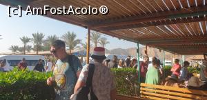 [P49] Zona unde stau turistii in rezervatia Ras Mohamed din Sharm, in asteptarea plecarii in croaziere. » foto by Lisa
 - 
<span class="allrVoted glyphicon glyphicon-heart hidden" id="av1281705"></span>
<a class="m-l-10 hidden" id="sv1281705" onclick="voting_Foto_DelVot(,1281705,27357)" role="button">șterge vot <span class="glyphicon glyphicon-remove"></span></a>
<a id="v91281705" class=" c-red"  onclick="voting_Foto_SetVot(1281705)" role="button"><span class="glyphicon glyphicon-heart-empty"></span> <b>LIKE</b> = Votează poza</a> <img class="hidden"  id="f1281705W9" src="/imagini/loader.gif" border="0" /><span class="AjErrMes hidden" id="e1281705ErM"></span>