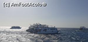 [P54] Asezate la rand pentru prima sedinta de snorkeling. » foto by Lisa
 - 
<span class="allrVoted glyphicon glyphicon-heart hidden" id="av1281710"></span>
<a class="m-l-10 hidden" id="sv1281710" onclick="voting_Foto_DelVot(,1281710,27357)" role="button">șterge vot <span class="glyphicon glyphicon-remove"></span></a>
<a id="v91281710" class=" c-red"  onclick="voting_Foto_SetVot(1281710)" role="button"><span class="glyphicon glyphicon-heart-empty"></span> <b>LIKE</b> = Votează poza</a> <img class="hidden"  id="f1281710W9" src="/imagini/loader.gif" border="0" /><span class="AjErrMes hidden" id="e1281710ErM"></span>