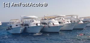 [P55] A doua sedinta de snorkeling. » foto by Lisa
 - 
<span class="allrVoted glyphicon glyphicon-heart hidden" id="av1281711"></span>
<a class="m-l-10 hidden" id="sv1281711" onclick="voting_Foto_DelVot(,1281711,27357)" role="button">șterge vot <span class="glyphicon glyphicon-remove"></span></a>
<a id="v91281711" class=" c-red"  onclick="voting_Foto_SetVot(1281711)" role="button"><span class="glyphicon glyphicon-heart-empty"></span> <b>LIKE</b> = Votează poza</a> <img class="hidden"  id="f1281711W9" src="/imagini/loader.gif" border="0" /><span class="AjErrMes hidden" id="e1281711ErM"></span>