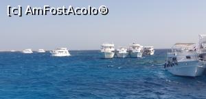 [P56] Se pleaca din portul din Ras Mohamed in sir indian. » foto by Lisa
 - 
<span class="allrVoted glyphicon glyphicon-heart hidden" id="av1281712"></span>
<a class="m-l-10 hidden" id="sv1281712" onclick="voting_Foto_DelVot(,1281712,27357)" role="button">șterge vot <span class="glyphicon glyphicon-remove"></span></a>
<a id="v91281712" class=" c-red"  onclick="voting_Foto_SetVot(1281712)" role="button"><span class="glyphicon glyphicon-heart-empty"></span> <b>LIKE</b> = Votează poza</a> <img class="hidden"  id="f1281712W9" src="/imagini/loader.gif" border="0" /><span class="AjErrMes hidden" id="e1281712ErM"></span>