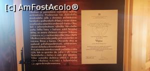 [P26] <strong>Centrul de informare.</strong> » foto by Aurici
 - 
<span class="allrVoted glyphicon glyphicon-heart hidden" id="av1282248"></span>
<a class="m-l-10 hidden" id="sv1282248" onclick="voting_Foto_DelVot(,1282248,27361)" role="button">șterge vot <span class="glyphicon glyphicon-remove"></span></a>
<a id="v91282248" class=" c-red"  onclick="voting_Foto_SetVot(1282248)" role="button"><span class="glyphicon glyphicon-heart-empty"></span> <b>LIKE</b> = Votează poza</a> <img class="hidden"  id="f1282248W9" src="/imagini/loader.gif" border="0" /><span class="AjErrMes hidden" id="e1282248ErM"></span>