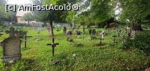 [P39] Cimitirul. » foto by Aurici
 - 
<span class="allrVoted glyphicon glyphicon-heart hidden" id="av1282261"></span>
<a class="m-l-10 hidden" id="sv1282261" onclick="voting_Foto_DelVot(,1282261,27361)" role="button">șterge vot <span class="glyphicon glyphicon-remove"></span></a>
<a id="v91282261" class=" c-red"  onclick="voting_Foto_SetVot(1282261)" role="button"><span class="glyphicon glyphicon-heart-empty"></span> <b>LIKE</b> = Votează poza</a> <img class="hidden"  id="f1282261W9" src="/imagini/loader.gif" border="0" /><span class="AjErrMes hidden" id="e1282261ErM"></span>