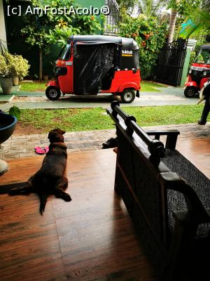 [P50] Tuk tuk -ul proprietarului » foto by cata2106
 - 
<span class="allrVoted glyphicon glyphicon-heart hidden" id="av1284461"></span>
<a class="m-l-10 hidden" id="sv1284461" onclick="voting_Foto_DelVot(,1284461,27380)" role="button">șterge vot <span class="glyphicon glyphicon-remove"></span></a>
<a id="v91284461" class=" c-red"  onclick="voting_Foto_SetVot(1284461)" role="button"><span class="glyphicon glyphicon-heart-empty"></span> <b>LIKE</b> = Votează poza</a> <img class="hidden"  id="f1284461W9" src="/imagini/loader.gif" border="0" /><span class="AjErrMes hidden" id="e1284461ErM"></span>