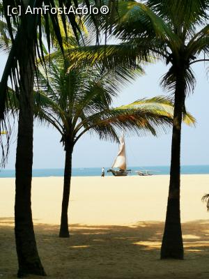 [P01] Plaja din Negombo » foto by cata2106
 - 
<span class="allrVoted glyphicon glyphicon-heart hidden" id="av1284557"></span>
<a class="m-l-10 hidden" id="sv1284557" onclick="voting_Foto_DelVot(,1284557,27382)" role="button">șterge vot <span class="glyphicon glyphicon-remove"></span></a>
<a id="v91284557" class=" c-red"  onclick="voting_Foto_SetVot(1284557)" role="button"><span class="glyphicon glyphicon-heart-empty"></span> <b>LIKE</b> = Votează poza</a> <img class="hidden"  id="f1284557W9" src="/imagini/loader.gif" border="0" /><span class="AjErrMes hidden" id="e1284557ErM"></span>