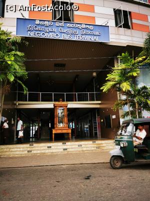 [P30] Negombo Bus Terminal » foto by cata2106
 - 
<span class="allrVoted glyphicon glyphicon-heart hidden" id="av1284586"></span>
<a class="m-l-10 hidden" id="sv1284586" onclick="voting_Foto_DelVot(,1284586,27382)" role="button">șterge vot <span class="glyphicon glyphicon-remove"></span></a>
<a id="v91284586" class=" c-red"  onclick="voting_Foto_SetVot(1284586)" role="button"><span class="glyphicon glyphicon-heart-empty"></span> <b>LIKE</b> = Votează poza</a> <img class="hidden"  id="f1284586W9" src="/imagini/loader.gif" border="0" /><span class="AjErrMes hidden" id="e1284586ErM"></span>