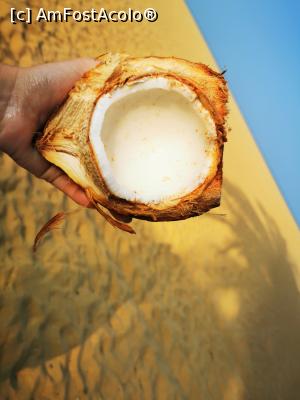 [P47] Nucă de cocos » foto by cata2106
 - 
<span class="allrVoted glyphicon glyphicon-heart hidden" id="av1284603"></span>
<a class="m-l-10 hidden" id="sv1284603" onclick="voting_Foto_DelVot(,1284603,27382)" role="button">șterge vot <span class="glyphicon glyphicon-remove"></span></a>
<a id="v91284603" class=" c-red"  onclick="voting_Foto_SetVot(1284603)" role="button"><span class="glyphicon glyphicon-heart-empty"></span> <b>LIKE</b> = Votează poza</a> <img class="hidden"  id="f1284603W9" src="/imagini/loader.gif" border="0" /><span class="AjErrMes hidden" id="e1284603ErM"></span>