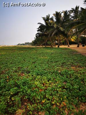 [P49] Plaja din Negombo » foto by cata2106
 - 
<span class="allrVoted glyphicon glyphicon-heart hidden" id="av1284605"></span>
<a class="m-l-10 hidden" id="sv1284605" onclick="voting_Foto_DelVot(,1284605,27382)" role="button">șterge vot <span class="glyphicon glyphicon-remove"></span></a>
<a id="v91284605" class=" c-red"  onclick="voting_Foto_SetVot(1284605)" role="button"><span class="glyphicon glyphicon-heart-empty"></span> <b>LIKE</b> = Votează poza</a> <img class="hidden"  id="f1284605W9" src="/imagini/loader.gif" border="0" /><span class="AjErrMes hidden" id="e1284605ErM"></span>