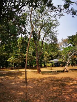 [P74] Viharamahadevi Park » foto by cata2106
 - 
<span class="allrVoted glyphicon glyphicon-heart hidden" id="av1284630"></span>
<a class="m-l-10 hidden" id="sv1284630" onclick="voting_Foto_DelVot(,1284630,27382)" role="button">șterge vot <span class="glyphicon glyphicon-remove"></span></a>
<a id="v91284630" class=" c-red"  onclick="voting_Foto_SetVot(1284630)" role="button"><span class="glyphicon glyphicon-heart-empty"></span> <b>LIKE</b> = Votează poza</a> <img class="hidden"  id="f1284630W9" src="/imagini/loader.gif" border="0" /><span class="AjErrMes hidden" id="e1284630ErM"></span>