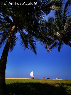 [P09] Plaja din Negombo » foto by cata2106
 - 
<span class="allrVoted glyphicon glyphicon-heart hidden" id="av1284565"></span>
<a class="m-l-10 hidden" id="sv1284565" onclick="voting_Foto_DelVot(,1284565,27382)" role="button">șterge vot <span class="glyphicon glyphicon-remove"></span></a>
<a id="v91284565" class=" c-red"  onclick="voting_Foto_SetVot(1284565)" role="button"><span class="glyphicon glyphicon-heart-empty"></span> <b>LIKE</b> = Votează poza</a> <img class="hidden"  id="f1284565W9" src="/imagini/loader.gif" border="0" /><span class="AjErrMes hidden" id="e1284565ErM"></span>
