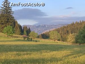 [P03] Peisaj în Fundățica » foto by AZE
 - 
<span class="allrVoted glyphicon glyphicon-heart hidden" id="av1369157"></span>
<a class="m-l-10 hidden" id="sv1369157" onclick="voting_Foto_DelVot(,1369157,27389)" role="button">șterge vot <span class="glyphicon glyphicon-remove"></span></a>
<a id="v91369157" class=" c-red"  onclick="voting_Foto_SetVot(1369157)" role="button"><span class="glyphicon glyphicon-heart-empty"></span> <b>LIKE</b> = Votează poza</a> <img class="hidden"  id="f1369157W9" src="/imagini/loader.gif" border="0" /><span class="AjErrMes hidden" id="e1369157ErM"></span>