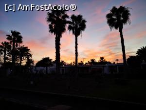 [P39] La plimbare pe faleză » foto by crismis
 - 
<span class="allrVoted glyphicon glyphicon-heart hidden" id="av1287017"></span>
<a class="m-l-10 hidden" id="sv1287017" onclick="voting_Foto_DelVot(,1287017,27393)" role="button">șterge vot <span class="glyphicon glyphicon-remove"></span></a>
<a id="v91287017" class=" c-red"  onclick="voting_Foto_SetVot(1287017)" role="button"><span class="glyphicon glyphicon-heart-empty"></span> <b>LIKE</b> = Votează poza</a> <img class="hidden"  id="f1287017W9" src="/imagini/loader.gif" border="0" /><span class="AjErrMes hidden" id="e1287017ErM"></span>