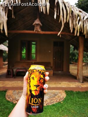 [P25] O bere pe relaxare » foto by cata2106
 - 
<span class="allrVoted glyphicon glyphicon-heart hidden" id="av1287791"></span>
<a class="m-l-10 hidden" id="sv1287791" onclick="voting_Foto_DelVot(,1287791,27399)" role="button">șterge vot <span class="glyphicon glyphicon-remove"></span></a>
<a id="v91287791" class=" c-red"  onclick="voting_Foto_SetVot(1287791)" role="button"><span class="glyphicon glyphicon-heart-empty"></span> <b>LIKE</b> = Votează poza</a> <img class="hidden"  id="f1287791W9" src="/imagini/loader.gif" border="0" /><span class="AjErrMes hidden" id="e1287791ErM"></span>