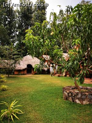 [P37] Prin curte » foto by cata2106
 - 
<span class="allrVoted glyphicon glyphicon-heart hidden" id="av1287803"></span>
<a class="m-l-10 hidden" id="sv1287803" onclick="voting_Foto_DelVot(,1287803,27399)" role="button">șterge vot <span class="glyphicon glyphicon-remove"></span></a>
<a id="v91287803" class=" c-red"  onclick="voting_Foto_SetVot(1287803)" role="button"><span class="glyphicon glyphicon-heart-empty"></span> <b>LIKE</b> = Votează poza</a> <img class="hidden"  id="f1287803W9" src="/imagini/loader.gif" border="0" /><span class="AjErrMes hidden" id="e1287803ErM"></span>