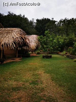 [P41] Vedere spre grădină » foto by cata2106
 - 
<span class="allrVoted glyphicon glyphicon-heart hidden" id="av1287807"></span>
<a class="m-l-10 hidden" id="sv1287807" onclick="voting_Foto_DelVot(,1287807,27399)" role="button">șterge vot <span class="glyphicon glyphicon-remove"></span></a>
<a id="v91287807" class=" c-red"  onclick="voting_Foto_SetVot(1287807)" role="button"><span class="glyphicon glyphicon-heart-empty"></span> <b>LIKE</b> = Votează poza</a> <img class="hidden"  id="f1287807W9" src="/imagini/loader.gif" border="0" /><span class="AjErrMes hidden" id="e1287807ErM"></span>