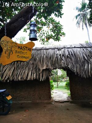 [P42] Poarta de la intrare » foto by cata2106
 - 
<span class="allrVoted glyphicon glyphicon-heart hidden" id="av1287808"></span>
<a class="m-l-10 hidden" id="sv1287808" onclick="voting_Foto_DelVot(,1287808,27399)" role="button">șterge vot <span class="glyphicon glyphicon-remove"></span></a>
<a id="v91287808" class=" c-red"  onclick="voting_Foto_SetVot(1287808)" role="button"><span class="glyphicon glyphicon-heart-empty"></span> <b>LIKE</b> = Votează poza</a> <img class="hidden"  id="f1287808W9" src="/imagini/loader.gif" border="0" /><span class="AjErrMes hidden" id="e1287808ErM"></span>