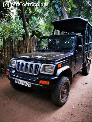 [P43] Jeep-ul cu care urma să mergem în Parcul Național Udawalawe » foto by cata2106
 - 
<span class="allrVoted glyphicon glyphicon-heart hidden" id="av1287809"></span>
<a class="m-l-10 hidden" id="sv1287809" onclick="voting_Foto_DelVot(,1287809,27399)" role="button">șterge vot <span class="glyphicon glyphicon-remove"></span></a>
<a id="v91287809" class=" c-red"  onclick="voting_Foto_SetVot(1287809)" role="button"><span class="glyphicon glyphicon-heart-empty"></span> <b>LIKE</b> = Votează poza</a> <img class="hidden"  id="f1287809W9" src="/imagini/loader.gif" border="0" /><span class="AjErrMes hidden" id="e1287809ErM"></span>