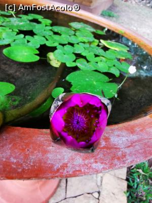 [P83] În curtea complexului » foto by cata2106
 - 
<span class="allrVoted glyphicon glyphicon-heart hidden" id="av1287849"></span>
<a class="m-l-10 hidden" id="sv1287849" onclick="voting_Foto_DelVot(,1287849,27399)" role="button">șterge vot <span class="glyphicon glyphicon-remove"></span></a>
<a id="v91287849" class=" c-red"  onclick="voting_Foto_SetVot(1287849)" role="button"><span class="glyphicon glyphicon-heart-empty"></span> <b>LIKE</b> = Votează poza</a> <img class="hidden"  id="f1287849W9" src="/imagini/loader.gif" border="0" /><span class="AjErrMes hidden" id="e1287849ErM"></span>